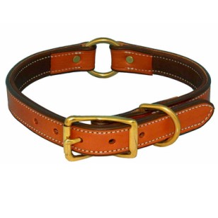 Dog Collar